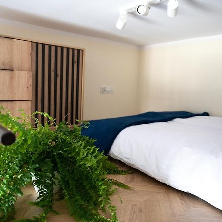 קטוביץ Citycenterapartment/Wrsz56 מראה חיצוני תמונה